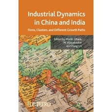 Industrial Dynamics in China and India: Firms Clusters and Different Growth Paths Paperback, Palgrave MacMillan, English, 9781349335046