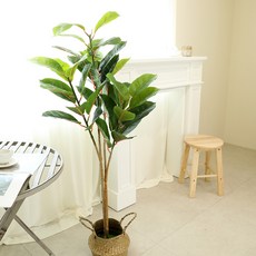 위드썬 조화 나무 플랜테리어 뱅갈고무나무, 1개, 135cm