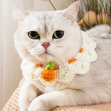 고양이 강아지 뜨개 케이프 진주 넥카라 레이스 목장식