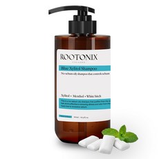 루토닉스 지성 두피 쿨링 탈모 청소년 자일리톨 샴푸, 1개, 500ml
