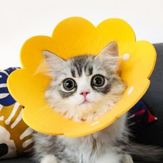 고양이 강아지 펠트 부직포 넥카라 초경량 목보호대 깔대기 수술 후+한정사은품, 2펠트펫넥카라-핑크S