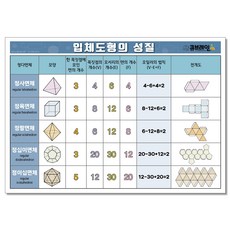 입체도형의 성질 - 큐브레인 수학 포스터 정4 6 8 12면체 중학교 필수 암기