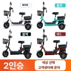 별콩마켓 전동터 어르신전동터 편리한, 48V, 1개, 단일 25A 100마일