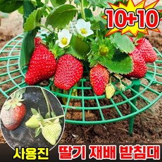 [빠른배송] 딸기 식물 재배 받침대 과일 화분 지지대 발코니 농장 딸기 키우기 트레이 방조망 방습 부패 방지 증산, 20개