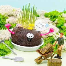 모스 토피어리 이끼인형 반려식물키우기, 토피어리만들기 KBMK