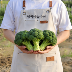 임씨네농장 국내산 햇 브로콜리 특품, 1개, 2kg