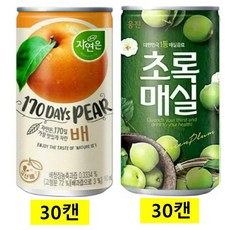 웅진자연은배180ml + 초록매실 180ml, 60개, 180ml
