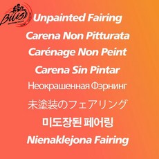 오토바이 페어링 키트 바디 트림 수정 하우징 외부 사출, 1. Unpanited, 기본