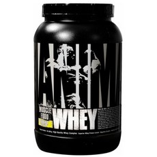 UNIVERSAL NUTRITION 動物乳清分離蛋白粉, 香蕉奶油(Banana Cream), 907g, 1罐