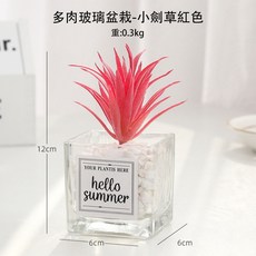 【台灣出貨】 仿真多肉盆栽 仿真植物 仙人掌 多肉盆栽 多肉植物 辦公室盆栽 小盆栽 園藝裝飾 迷你盆栽 桌面盆栽, 1個, 【小劍草_紅色】