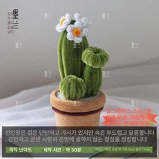 꽃 화분 DIY 데이지 중형 키트 분갈이 도자기, 1종 선인장 꽃 미니 화분 재료팩