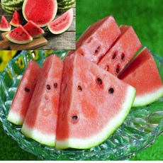 고당도 꿀수박 10brix 당도선별 겨울수박 산지직송 다이어트, 1개, 4kg