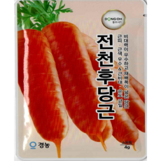 동오시드 전천후 당근 씨앗 고수량 당근 균일근형 종자 재배용 4g, 1개 1개