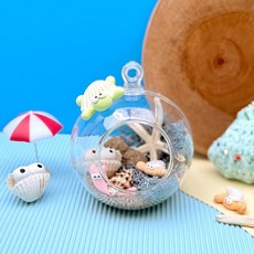 아트박스/토단 바다 조개 해양생물 테라리움 만들기 - 1인세트, 단품없음, 단품없음