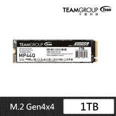 Team 十銓 MP44Q 1TB Gen4 M.2 NVMe PCIe SSD 固態硬碟