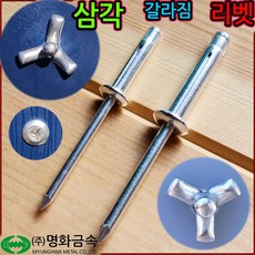삼각 갈라짐 리벳 못 플라스틱 자동차 외장재 리베트 머리대 플렌지 머리 조립 4.0x19, 5-1 스텐 리벳 (304), a)3.2x6mm-50개(분할 봉지)