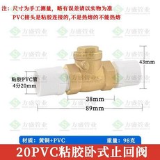 20PVC粘膠立式止回閥 黃銅+PVC, 20 4 分 PVC 臥式止回閥, 1個