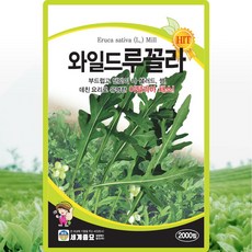세계종묘 와일드루꼴라 씨앗 2000립 와일드 루꼴라씨 이탈리아 채소 종자, 1개 1개