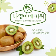 나영이네농장 그린키위 총판, 1박스, 5kg 중 55개내외