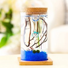 [픽앤] 수조장식 어항꾸미기 새우어항 마리모 키우기 LED 유리병 6.5x12.5cm