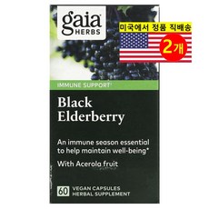 NaturesPlus 블랙 엘더베리 추출 158mg 아세로라 열매 함유 Black Elderberry Acerola Fruit, 2개, 60정