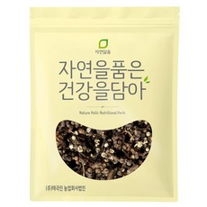 자연닮음 수입산 헛개열매 1kg 헛개나무 열매 지구자, 1개