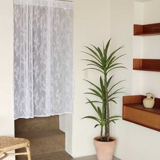 엘레강스 레이스커튼 창형 150x150 쉬폰 속커튼