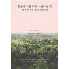 인생에 거친 파도가 몰아칠 때 - 고통의 한복판에서 행복을 선택하는 법