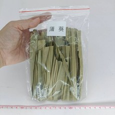 銅板價幼教福利社 鬆散乾燥葉材(10g) 乾燥花 乾燥葉 尤加利葉 聖誕花圈 果實 拍照道具 花圈材料, 蒲葵