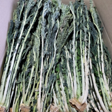 청정영주 국산 햇무청 건시래기 건나물 1kg, 1개