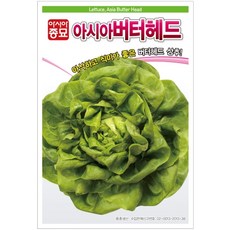 아시아버터헤드 1000립 씨앗 쌈채소 유기농야채 아시아종묘텃밭 주말농장 베란다야채키우기