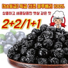 무설탕 야생 블루베리 말린 과일 노소 누구나 큼직한 건조과일 고흡수 안전위생 엄격검사, (1+1)100g*2
