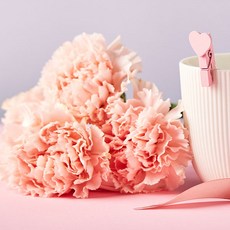 [LS 앱솔루트 오일] N05 카네이션 (Carnation) 10ml, 1개, 연한노랑