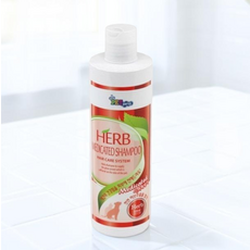 글로르헥시딘 강아지 고양이 소독약 유산균 청결