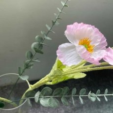 유칼립투스 조화 A 조화인테리어