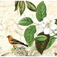 TS 花鳥0036-蝶谷巴特餐巾紙/藝術紙 Decoupage餐巾紙 藝術紙 派對餐巾紙 手工藝材料, 1個, 22.5x22.5