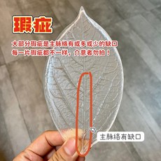 特價 樹脂粘土麵包花粗紋常用通用葉模萬用葉片段瓣模具, 1個, 萬用葉膜（瑕疵）