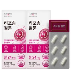 일동 리포좀 철분제 미니 영양제 임산부 여성 남성 청소년, 2개, 30정 2개, 30정