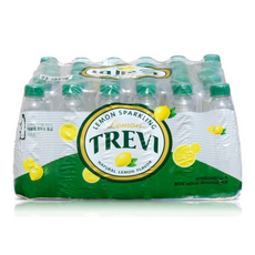 트레비 레몬향 무라벨, 300ml, 1개