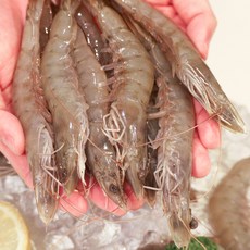 프리미엄 청정 흰다리새우 20미, 1개, 500g