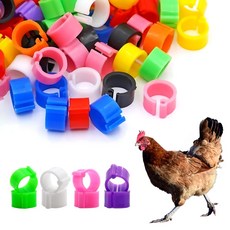 닭 병아리 인식표 발목링 발찌 밴드 가금류 조류 품종 성별 식별 번호표 10P, 혼합, 10개