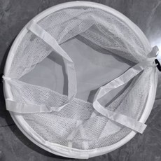 조과망 채집망 헤루질조과망, 화이트