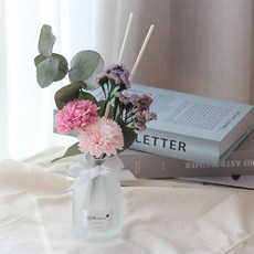 라라포푸리 투톤 카네이션 실내디퓨저 선물세트, 1개, 100ml, 가든파티