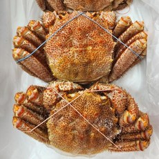 싱싱햇 러시아 대왕 털게 자숙 선상 냉동, 1박스, 1kg(1-2미), 자숙후 600g