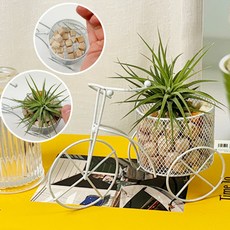 이오난사 화분 만들기 자전거 편백 틸란드시아 공기정화식물 DIY 원예 키트 반려식물, 편백+이오난사 자전거 화분(P0000KXM)