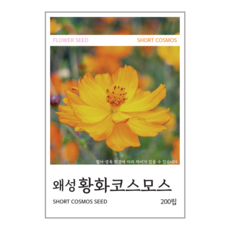 새싹바라기 왜성황화코스모스 씨앗 200립, 1개