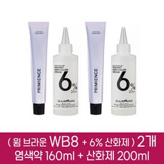 시세이도 프리미언스 엔리치 염색약 WB8 2개분 ( 1제 160g + 2제 6% 산화제 200ml ), 2개