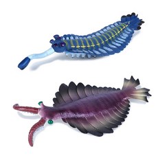 고대 생물 모형 심해 세트 교구 교육용 물고기 고생대 피규어, A. 2 종 세트