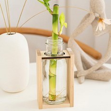 (우든웨어) 초록업사이클링-주스병활용, 우든웨어재료만