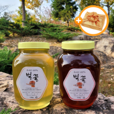 백화산 아카시아 잡화 사양벌꿀 세트 2.4kg+2.4kg 2병, 아카시아 잡화 사양벌꿀 2병